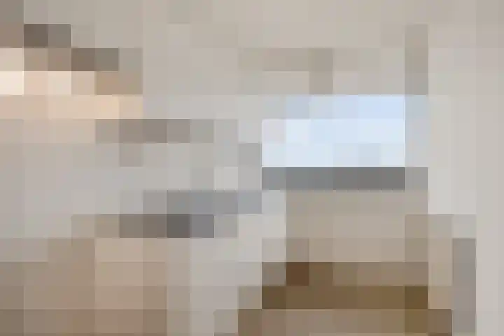 Tjaarda 220 Drachten thumbnail 17