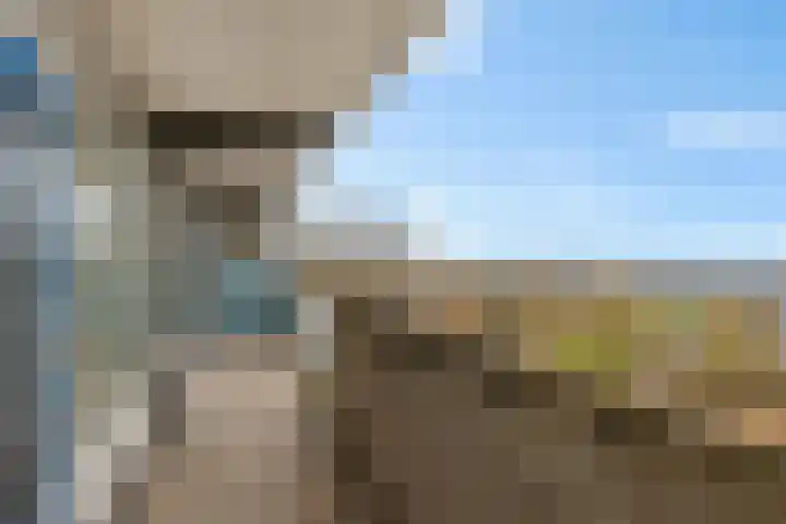 Tjaarda 220 Drachten thumbnail 25