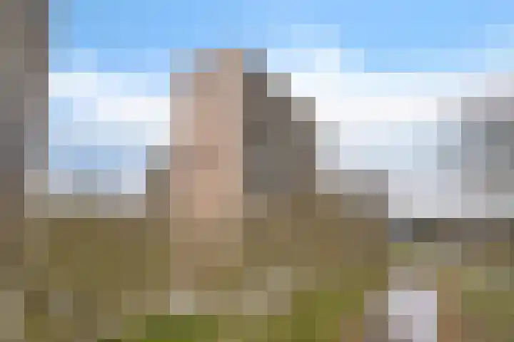 Tjaarda 220 Drachten thumbnail 30
