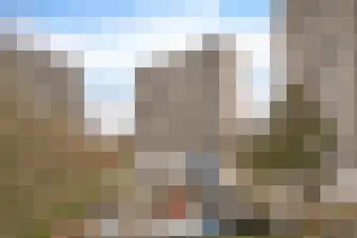 Tjaarda 220 Drachten thumbnail 31