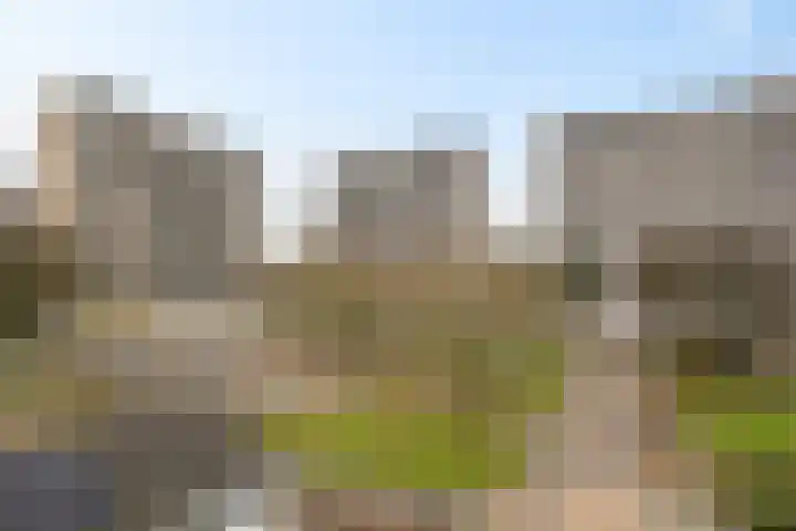 Tjaarda 220 Drachten thumbnail 5