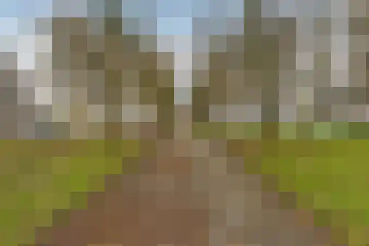 Tjaarda 220 Drachten thumbnail 6