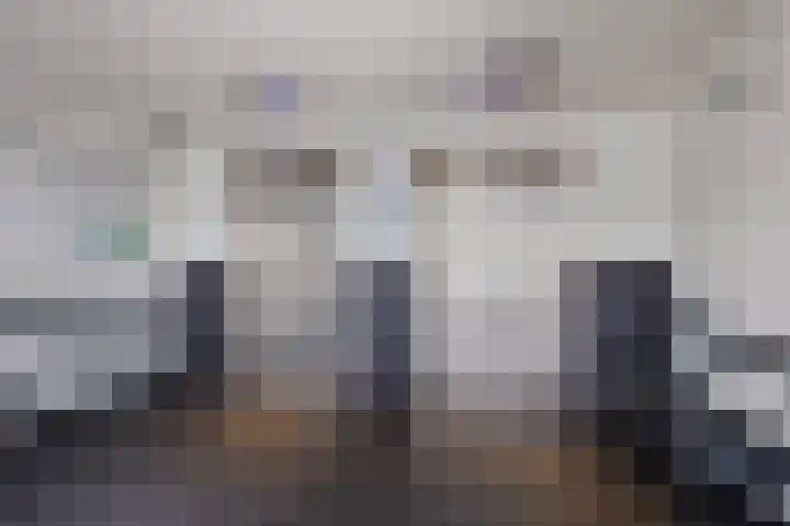 Tjaarda 220 Drachten thumbnail 9