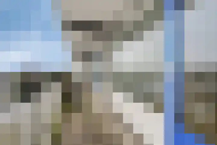 Tjaarda 230 Drachten thumbnail 14