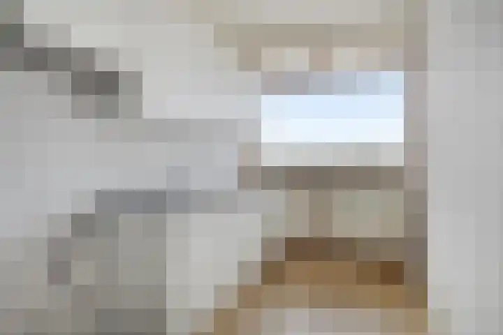 Tjaarda 230 Drachten thumbnail 18
