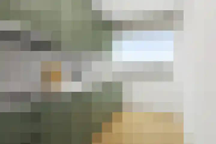 Tjaarda 230 Drachten thumbnail 19
