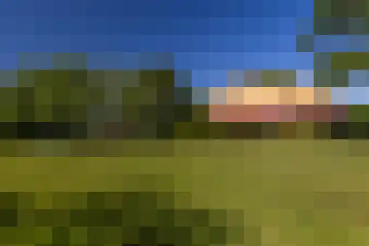 Tjaarda 230 Drachten thumbnail 20