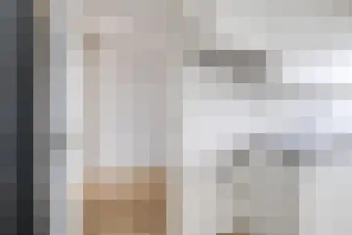 Tjaarda 230 Drachten thumbnail 22