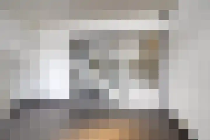 Tjaarda 230 Drachten thumbnail 30