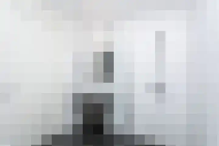 Tjaarda 230 Drachten thumbnail 31