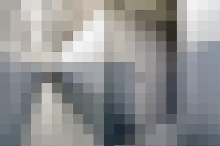 Tjaarda 230 Drachten thumbnail 31