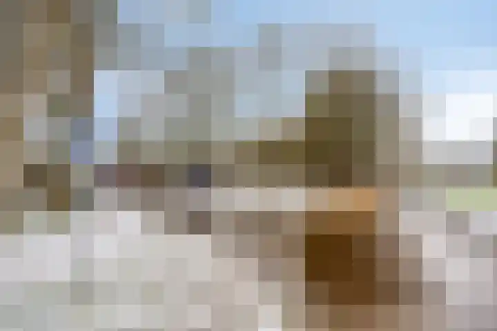 Tjaarda 230 Drachten thumbnail 33