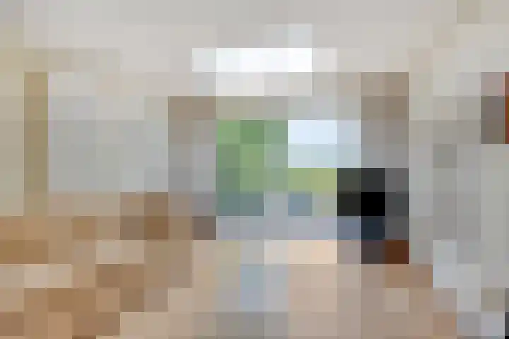 Tjaarda 230 Drachten thumbnail 7