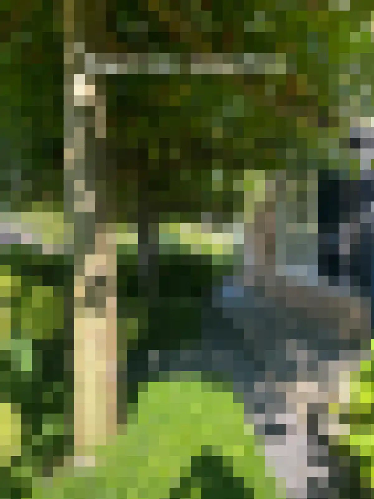Tjaarda 230 Drachten thumbnail 8