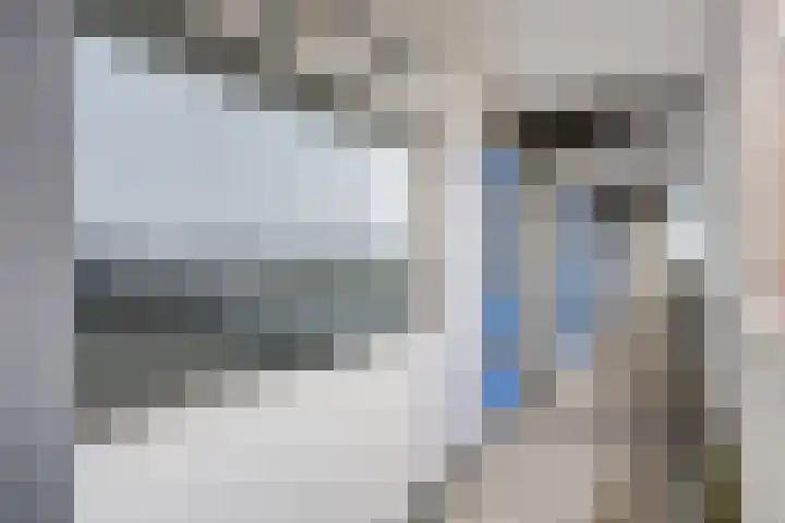Tjaarda 230 Drachten thumbnail 8