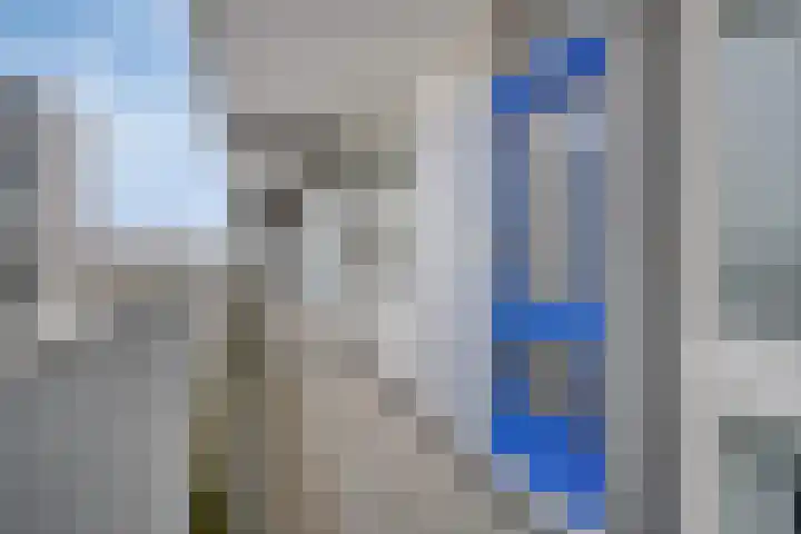 Tjaarda 230 Drachten thumbnail 9