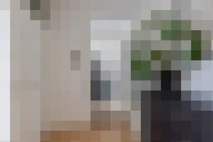 Tjaarda 24 Drachten thumbnail 17