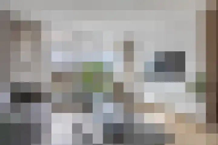 Tjaarda 24 Drachten thumbnail 19