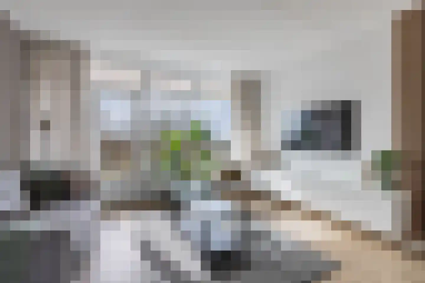 Tjaarda 24 Drachten thumbnail 19