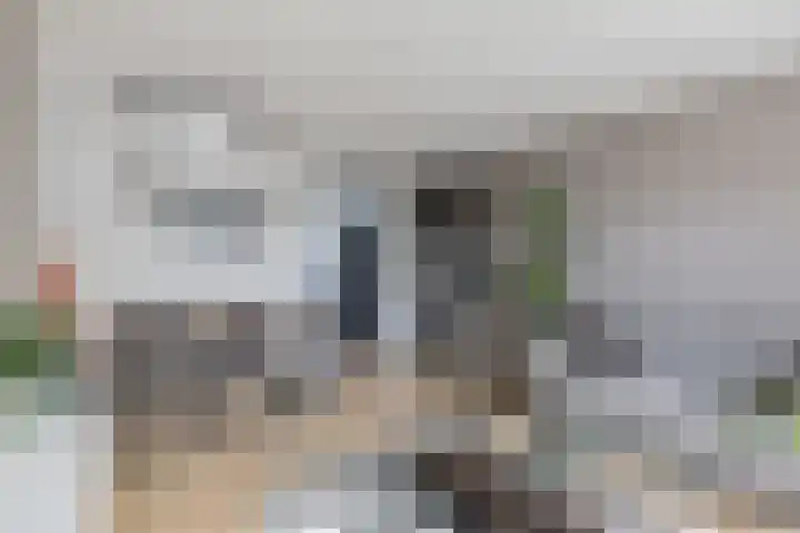 Tjaarda 24 Drachten thumbnail 21