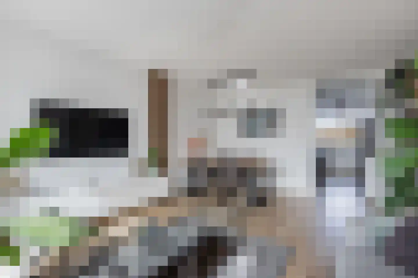 Tjaarda 24 Drachten thumbnail 25