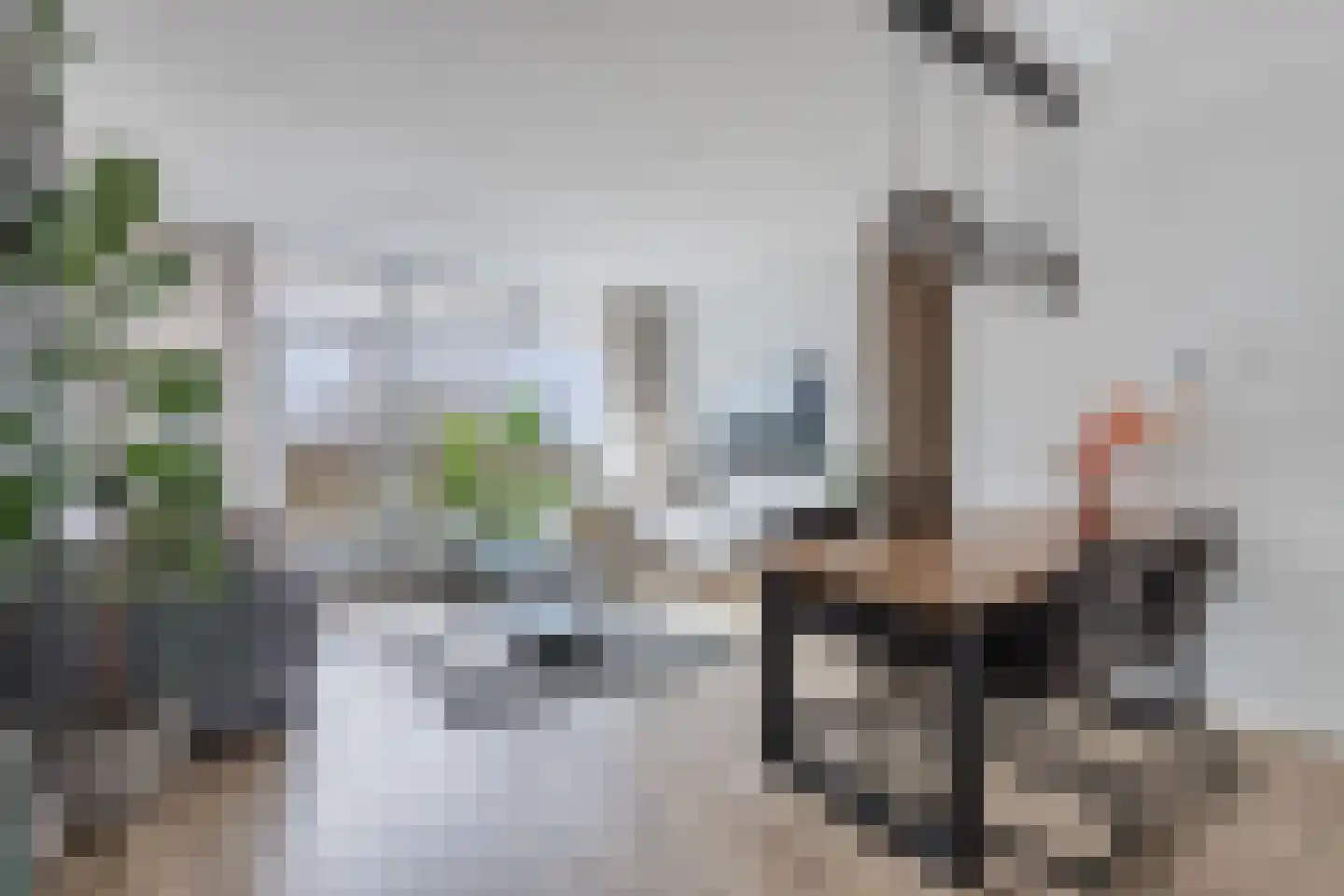 Tjaarda 24 Drachten thumbnail 27