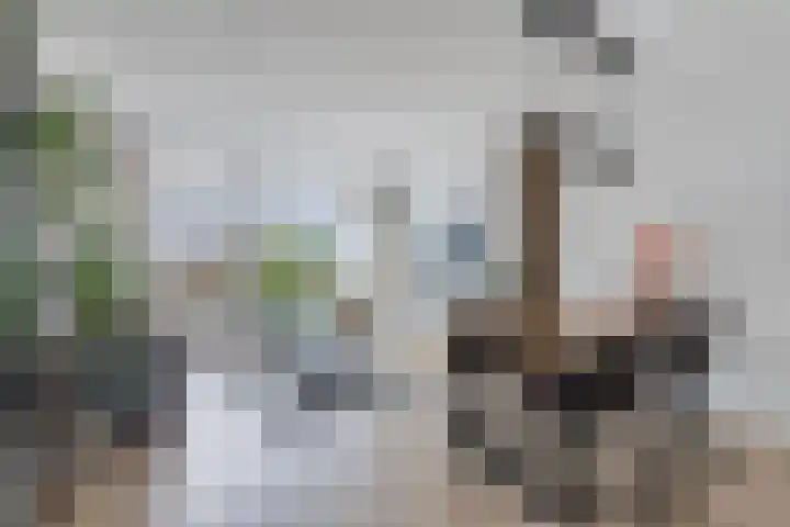 Tjaarda 24 Drachten thumbnail 27