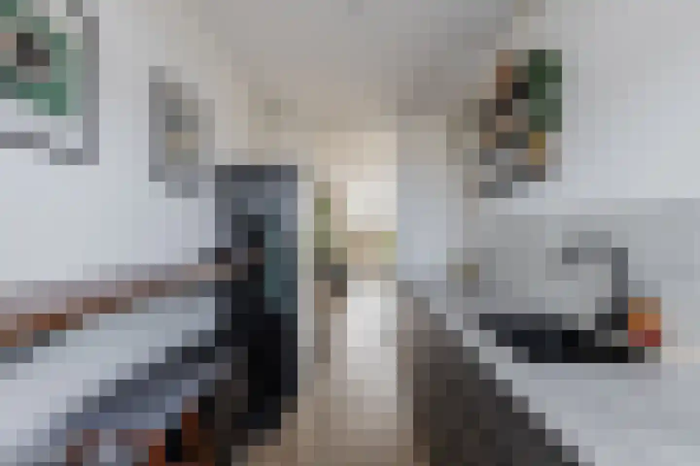 Tjaarda 24 Drachten thumbnail 32