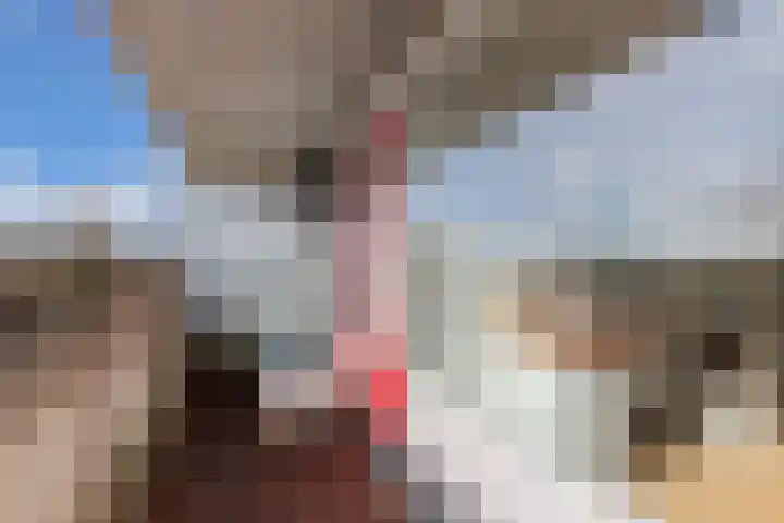 Tjaarda 24 Drachten thumbnail 35