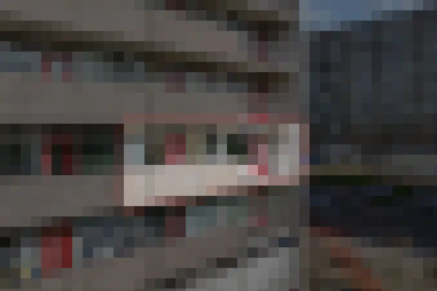 Tjaarda 24 Drachten thumbnail 7