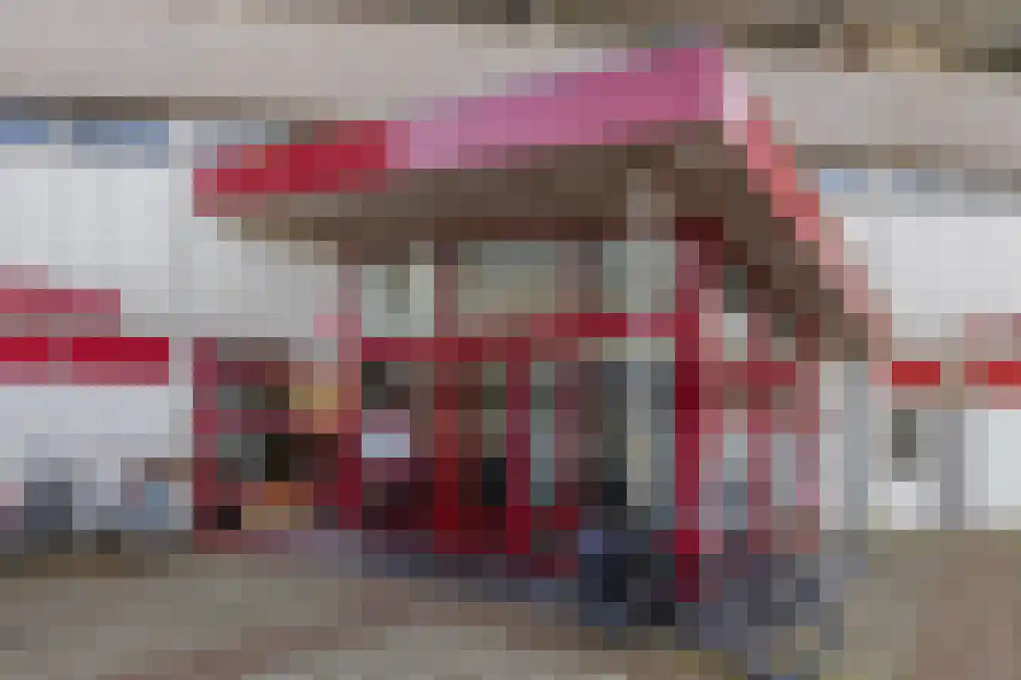 Tjaarda 24 Drachten thumbnail 9
