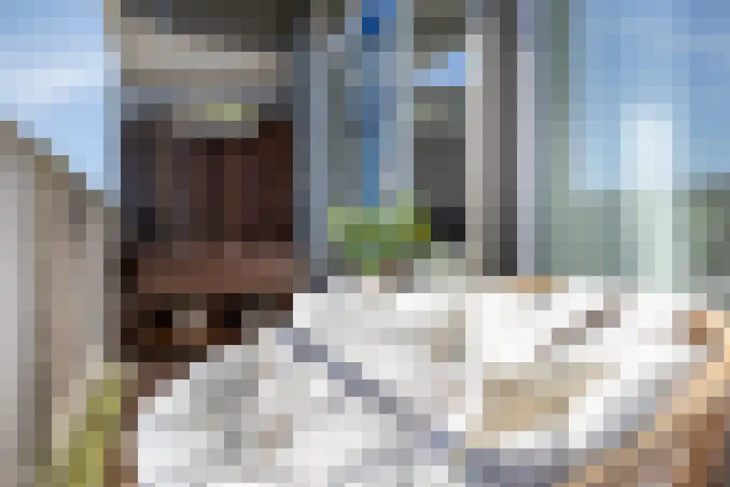 Tjaarda 240 Drachten thumbnail 27