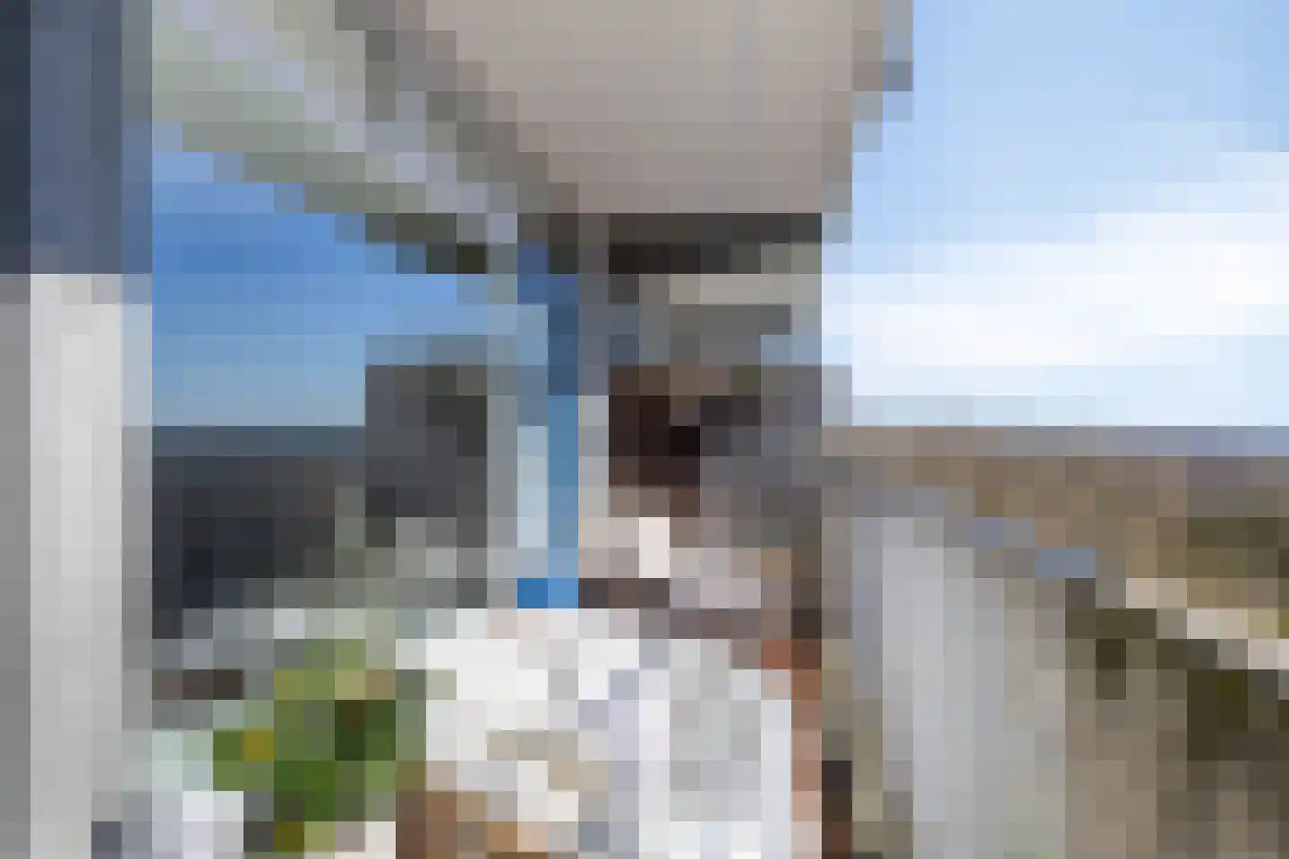Tjaarda 240 Drachten thumbnail 29