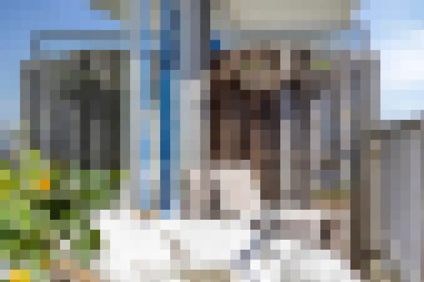Tjaarda 240 Drachten thumbnail 30