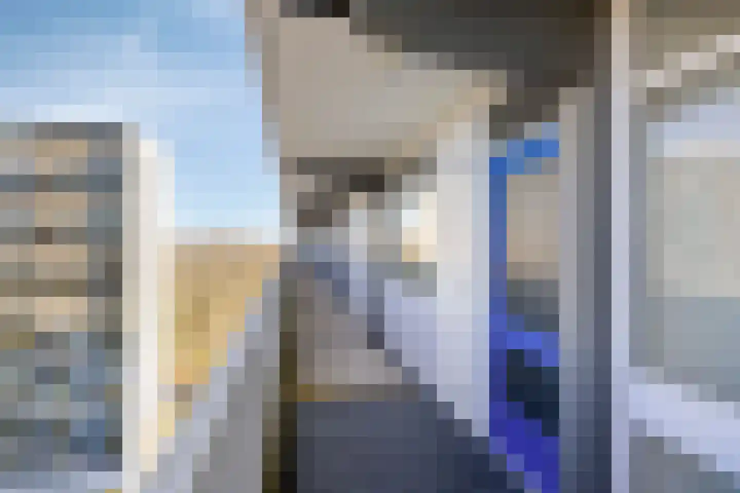 Tjaarda 240 Drachten thumbnail 8