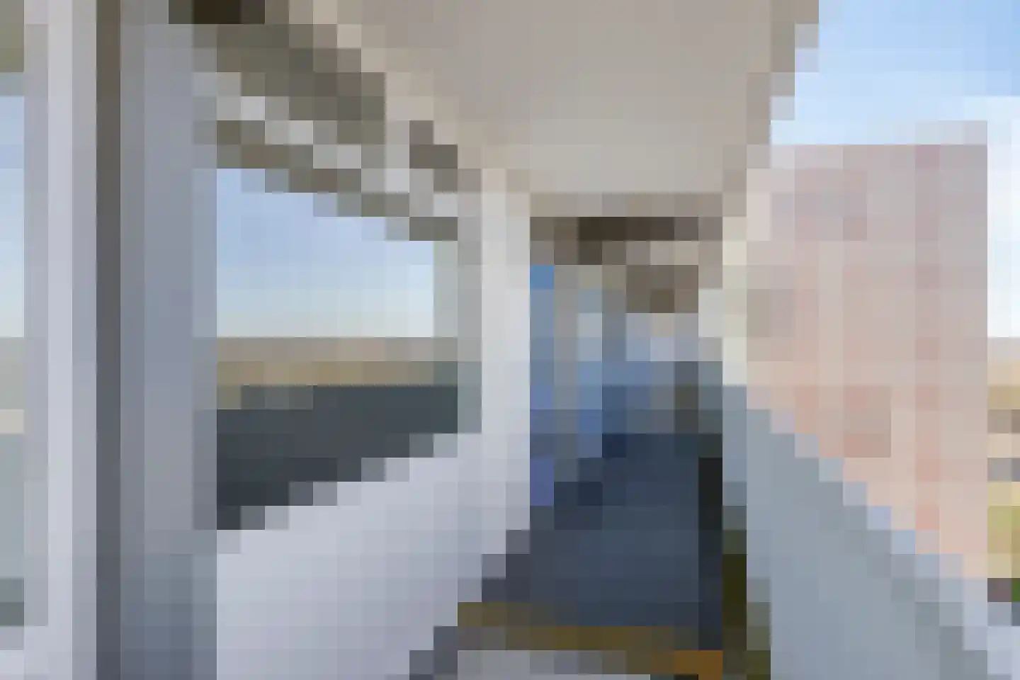 Tjaarda 240 Drachten thumbnail 9