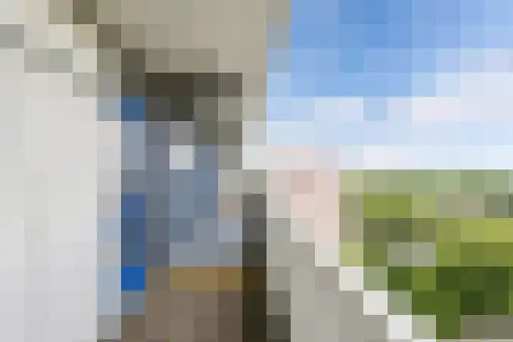 Tjaarda 280 Drachten thumbnail 17