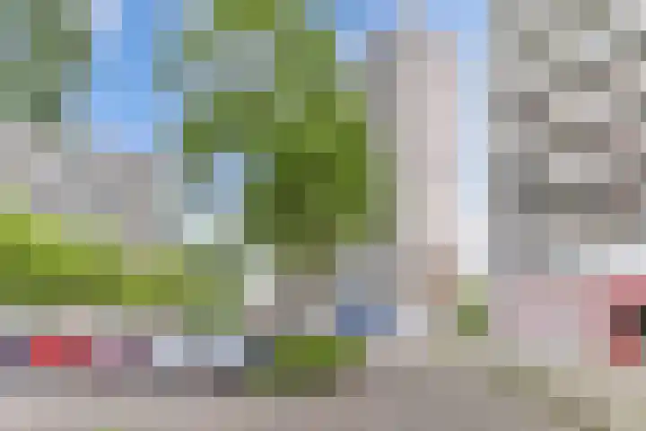 Tjaarda 280 Drachten thumbnail 19