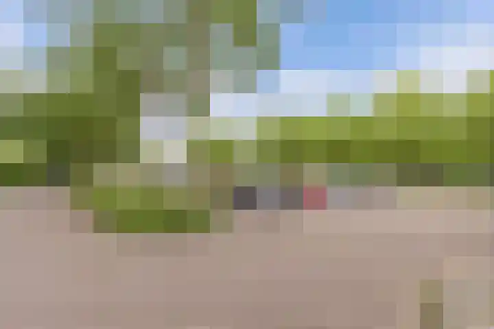 Tjaarda 280 Drachten thumbnail 25