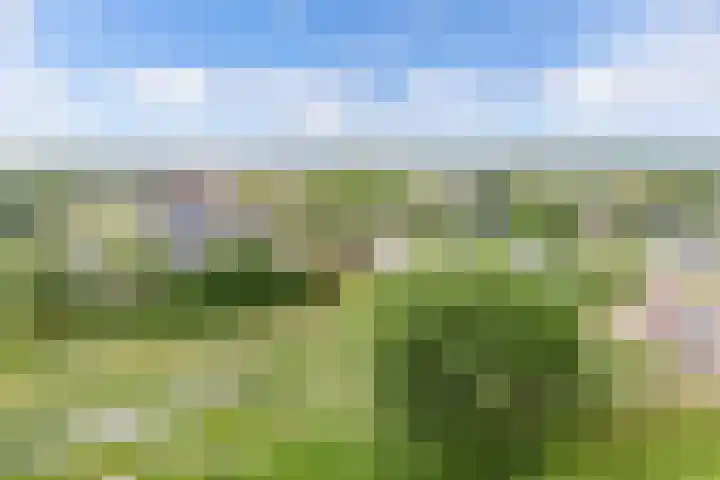 Tjaarda 280 Drachten thumbnail 26