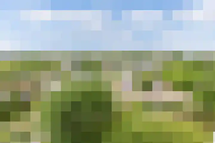 Tjaarda 280 Drachten thumbnail 27