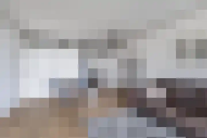 Tjaarda 280 Drachten thumbnail 8
