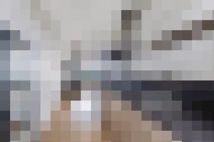 Tjaarda 280 Drachten thumbnail 9