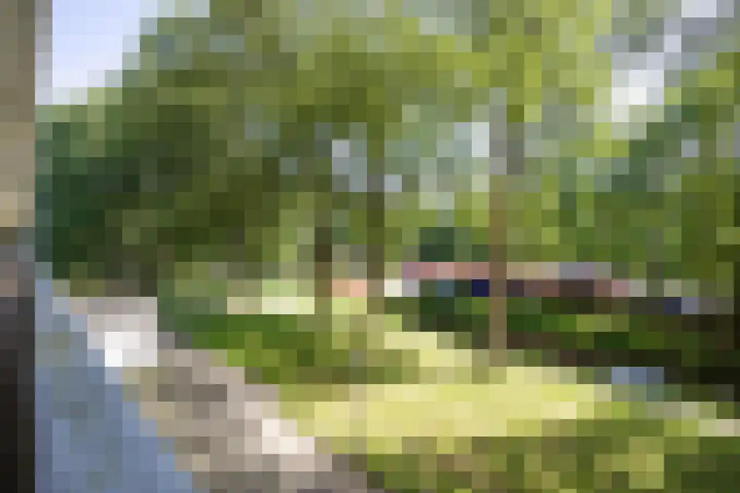 Tjaarda 292 Drachten thumbnail 10