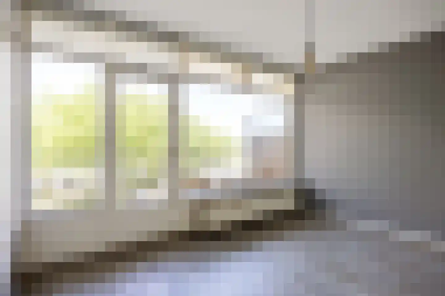 Tjaarda 292 Drachten thumbnail 20
