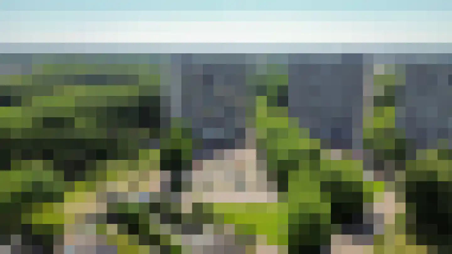 Tjaarda 292 Drachten thumbnail 32