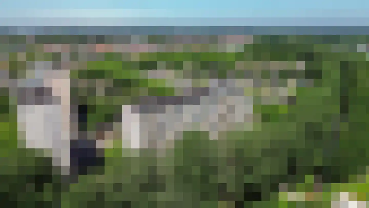 Tjaarda 292 Drachten thumbnail 33