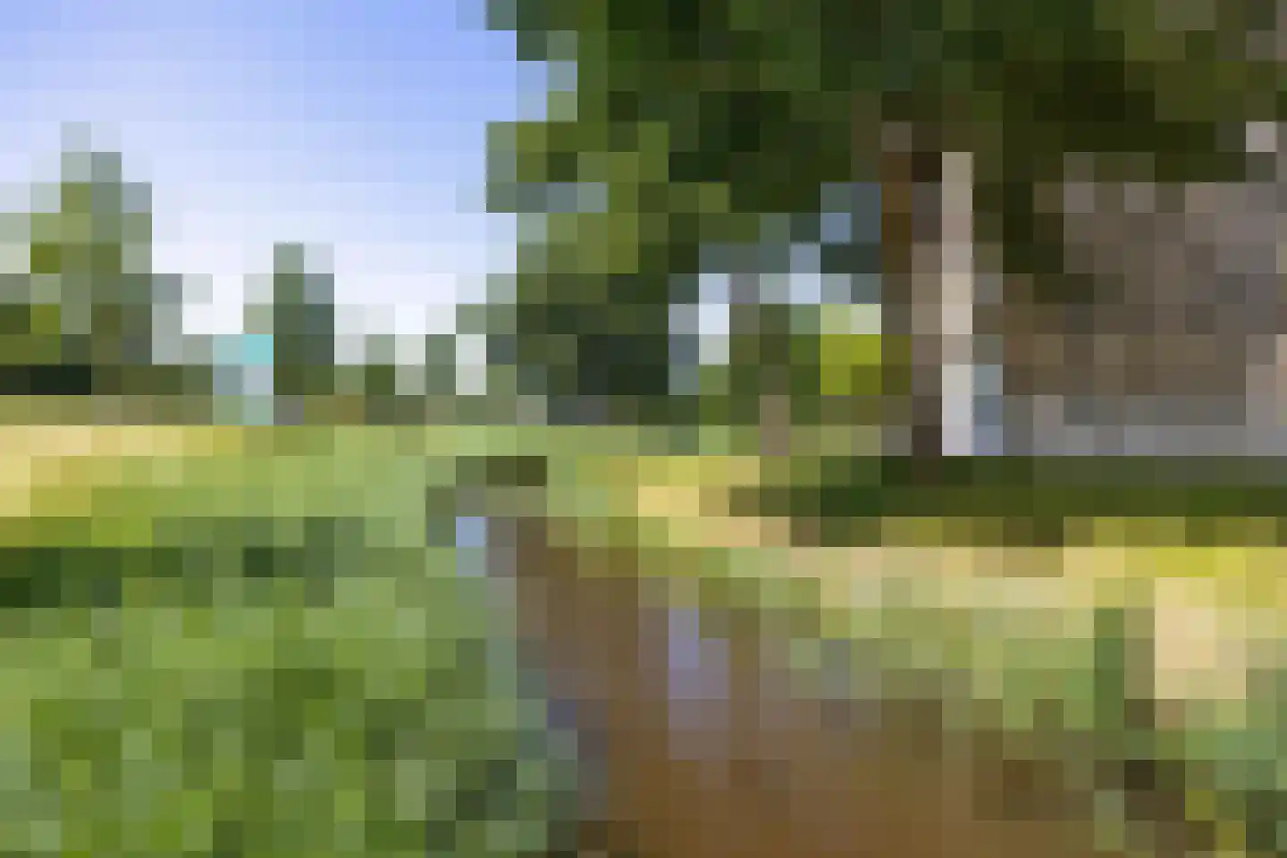 Tjaarda 292 Drachten thumbnail 35