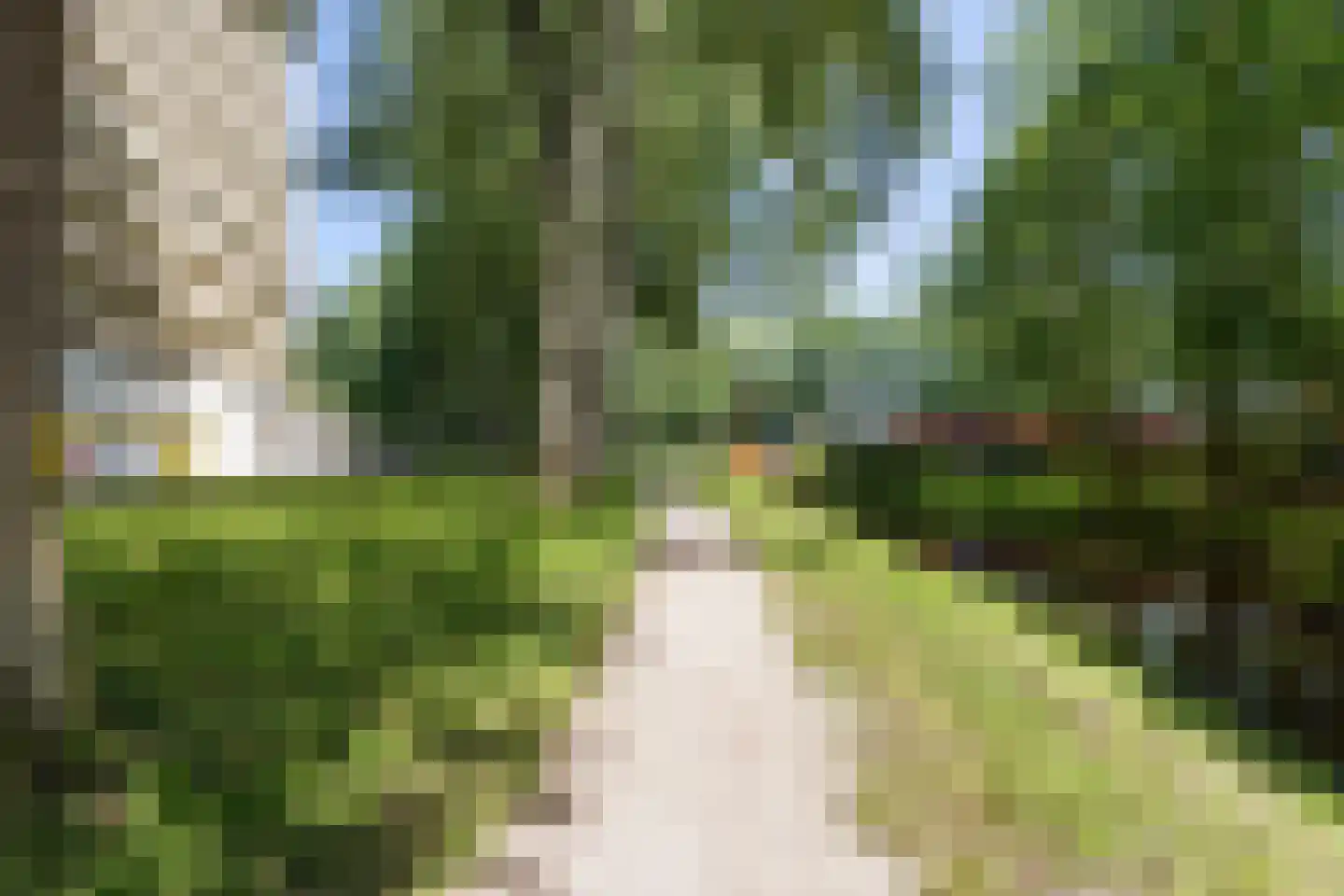 Tjaarda 292 Drachten thumbnail 36
