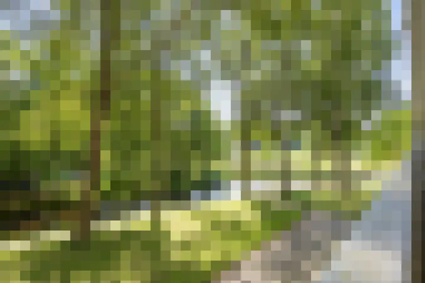 Tjaarda 292 Drachten thumbnail 4